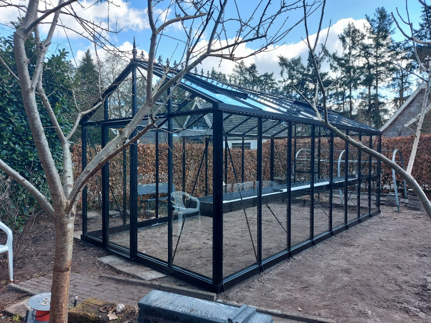 Janssens Helios Master Victorian MV36