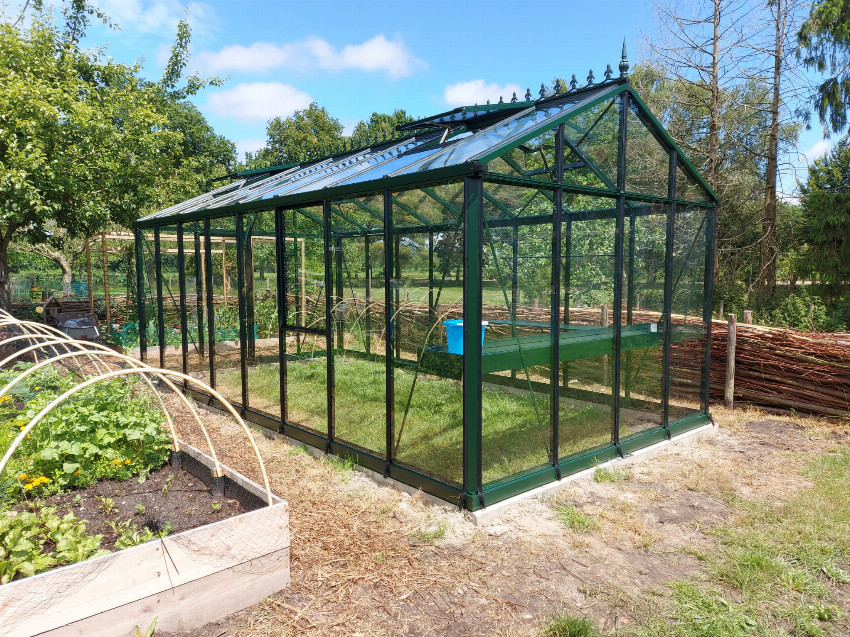 Janssens Helios Master Victorian MV36